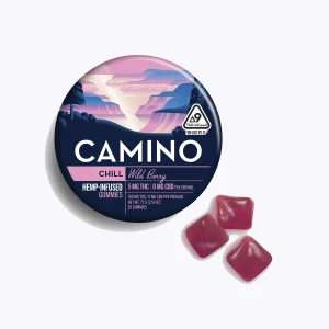 Camino Wild Berry High Dose Chill Gummies